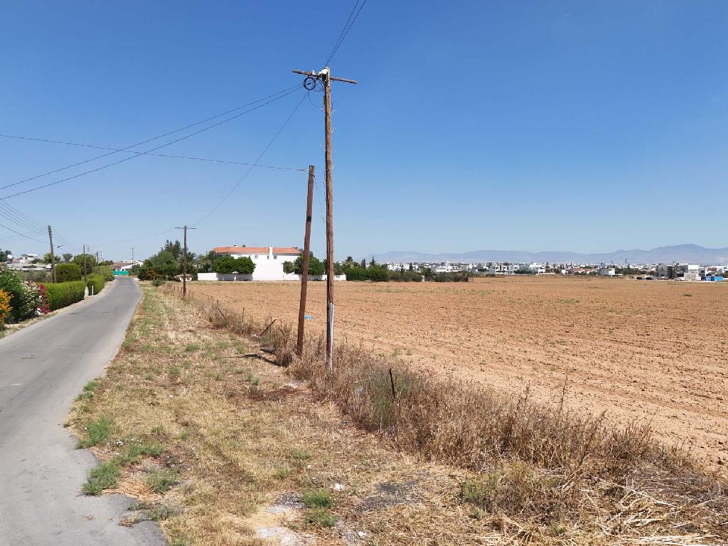 Field (Share)- Latsia, Nicosia-Latsia