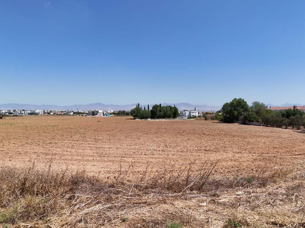 Field (Share)- Latsia, Nicosia-Latsia