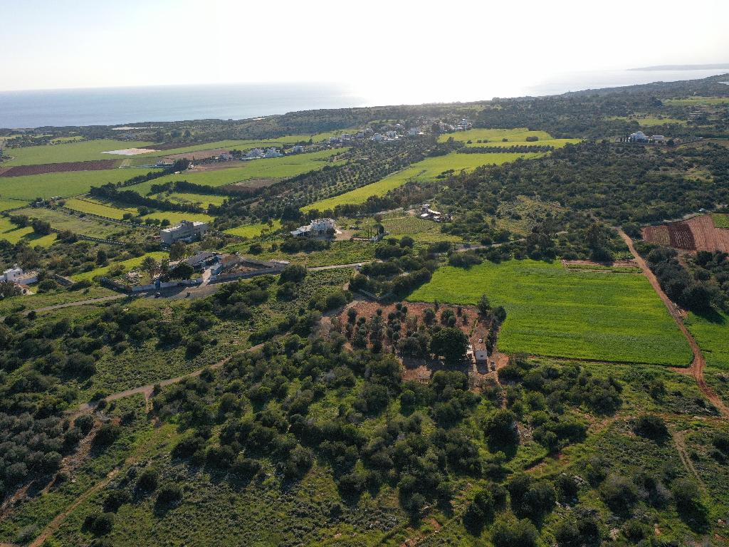 Field (Share) - Paralimni, Famagusta