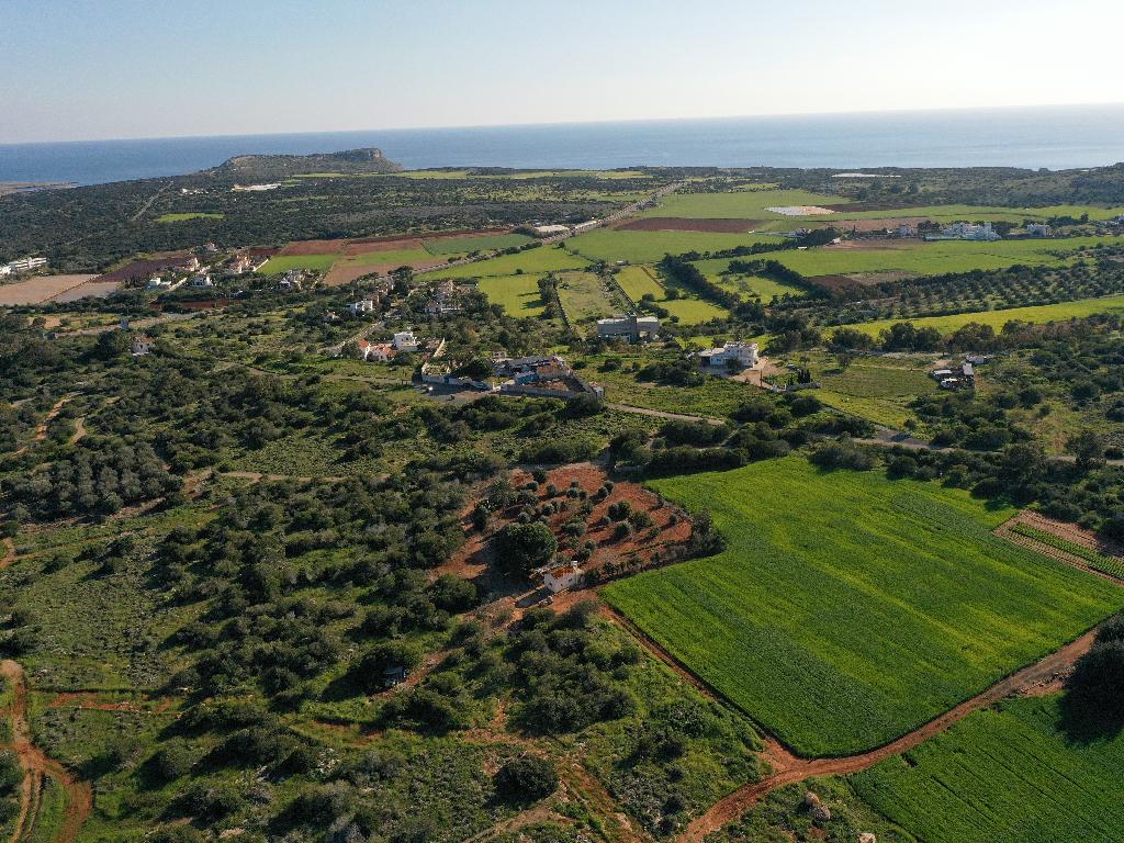 Field (Share) - Paralimni, Famagusta