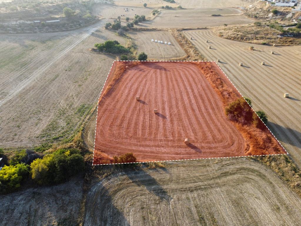 Field - Tersefanou, Larnaca