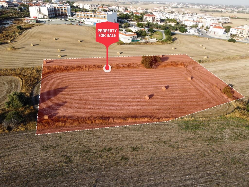 Field - Tersefanou, Larnaca