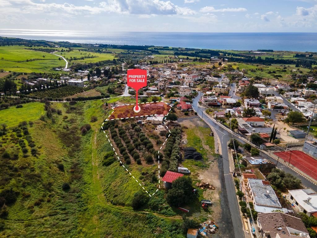 Field (Share) - Kouklia, Paphos