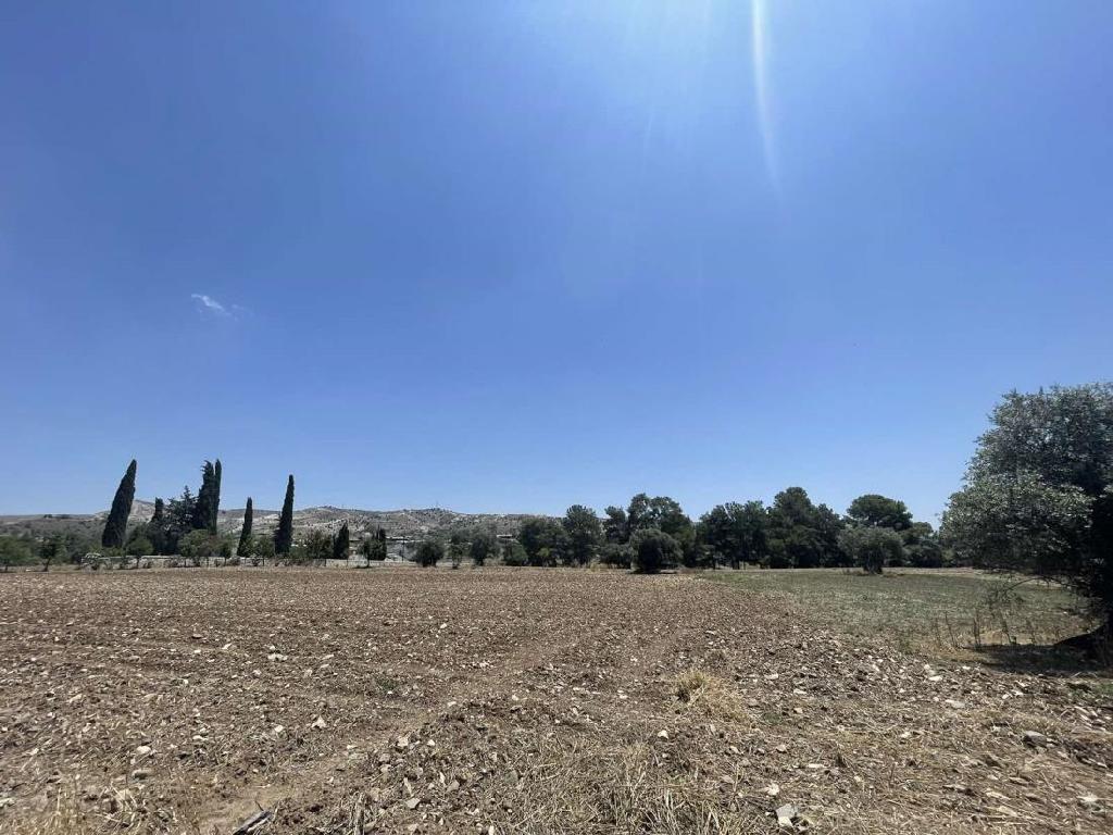 Field (Share) - Psevdas, Larnaca