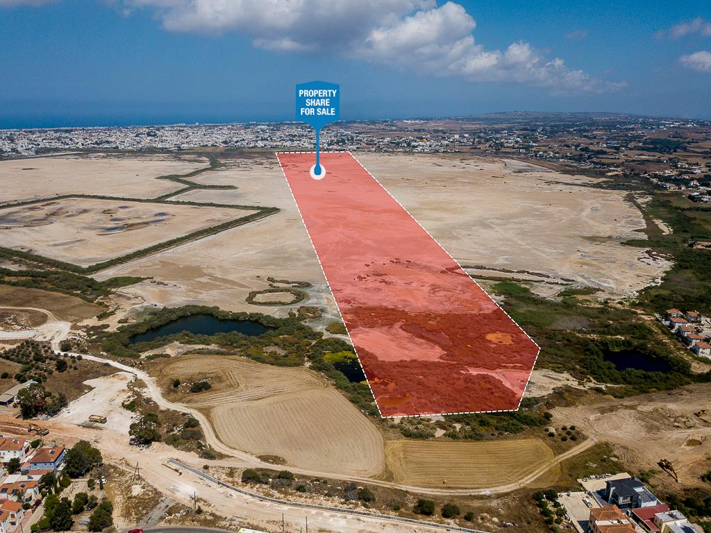 Field-Paralimni-PR40212