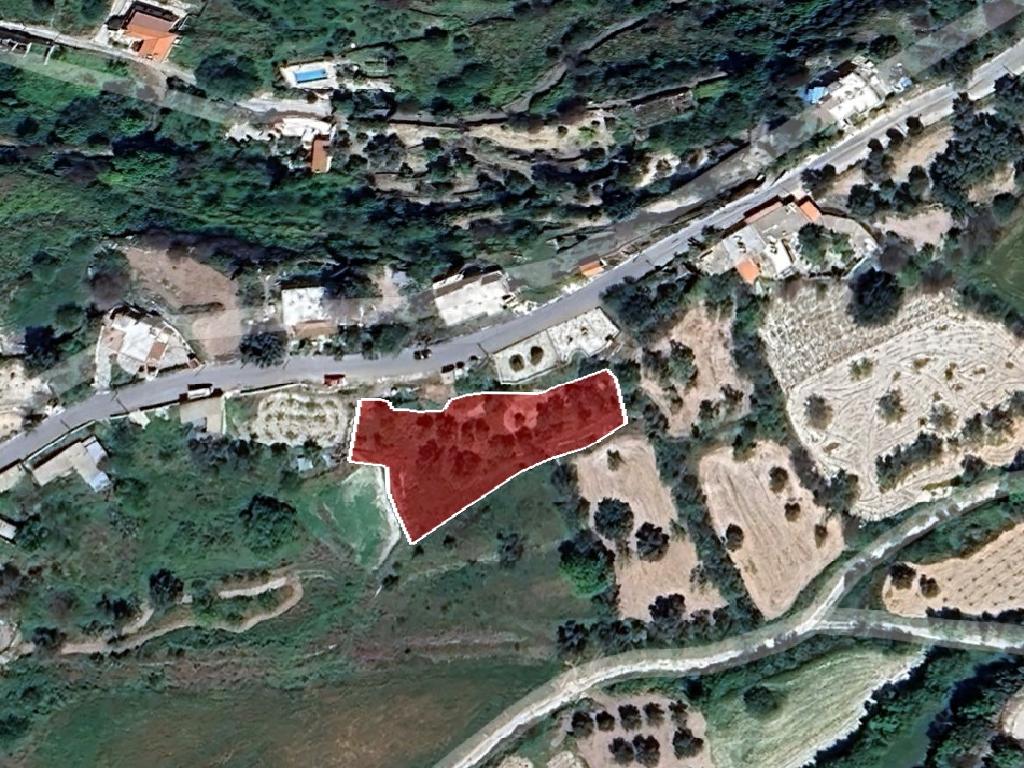 Field (Share) - Lasa, Paphos