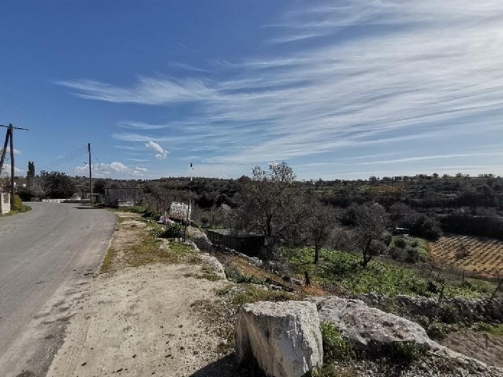 Field (Share) - Lasa, Paphos