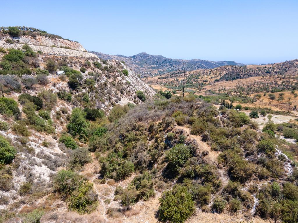 Field - Episkopi, Paphos