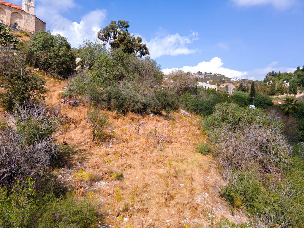 Field - Armou, Paphos