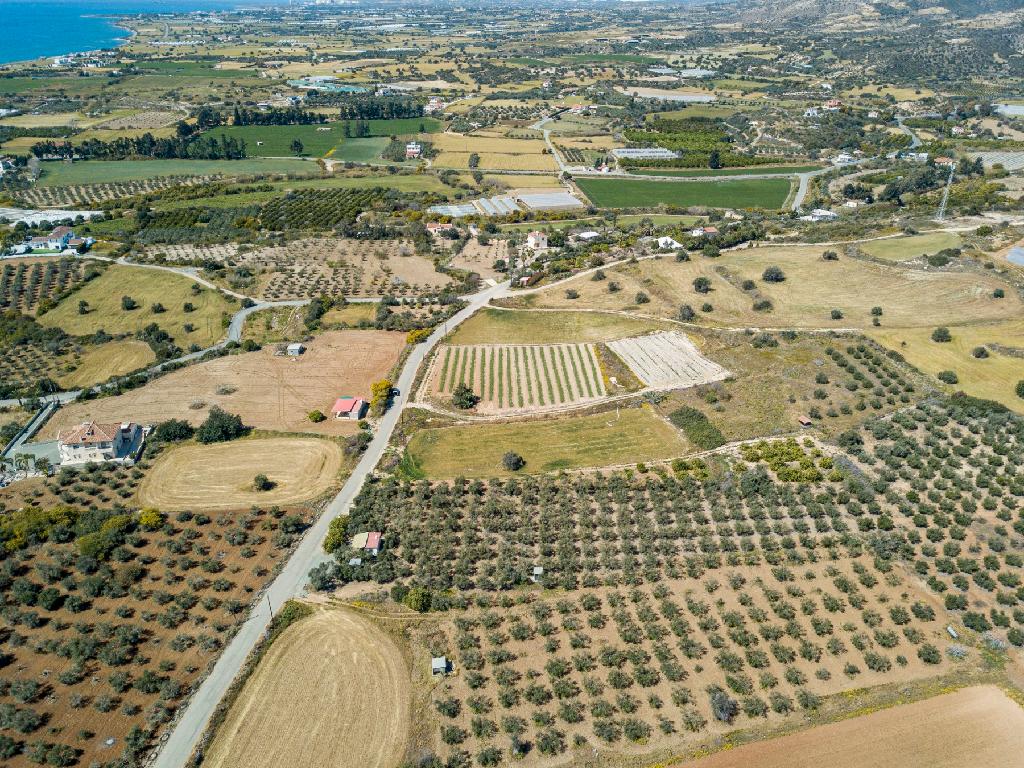 Field (Share) - Agios Theodoros, Larnaca