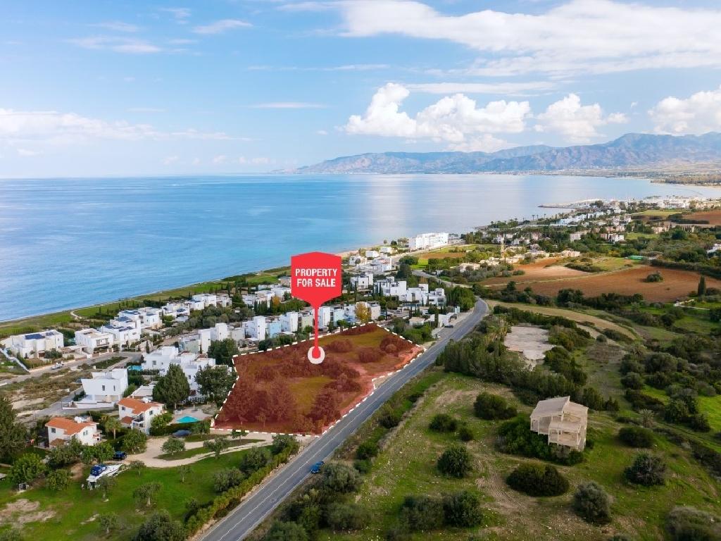 Field - Neo Chorio, Paphos