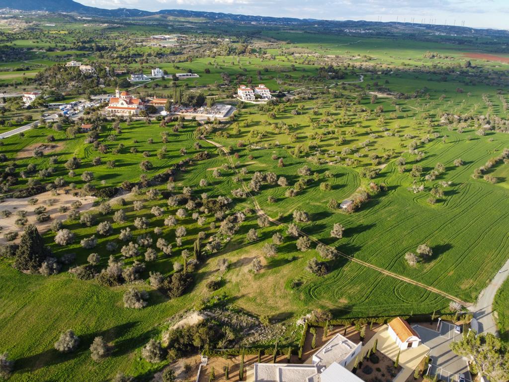 Field - Mazotos, Larnaca