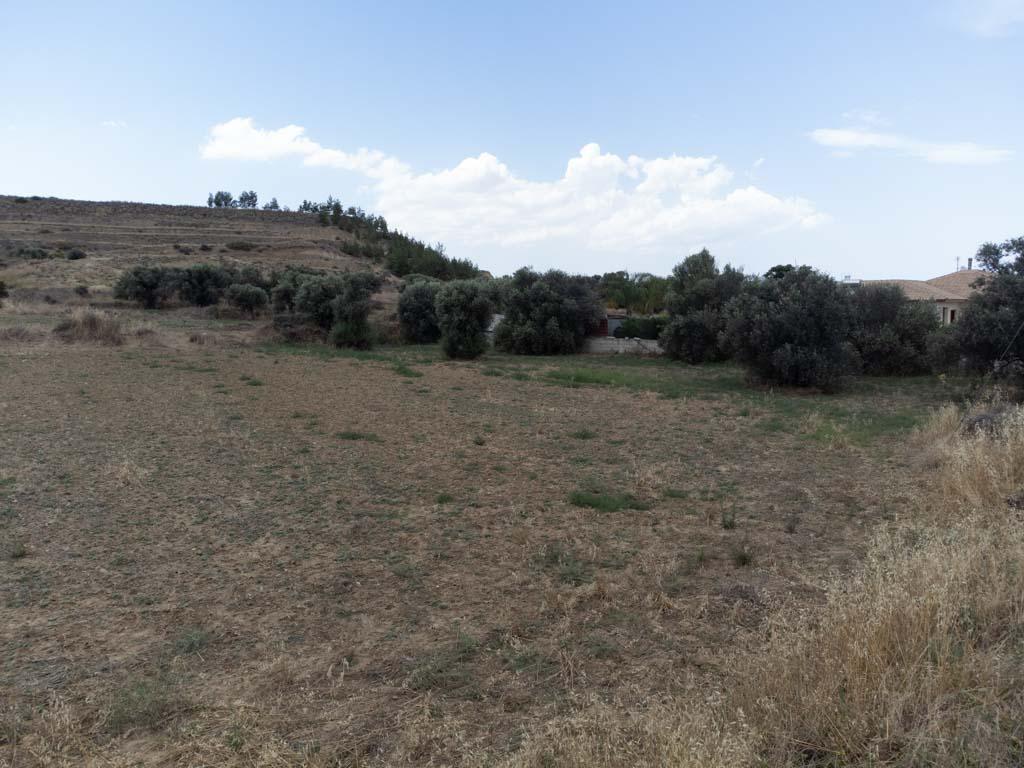 Field - Pera, Nicosia