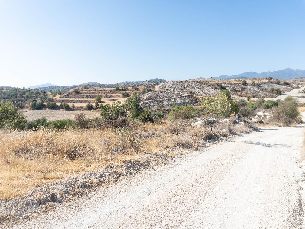 Field - Pera Oreinis, Nicosia