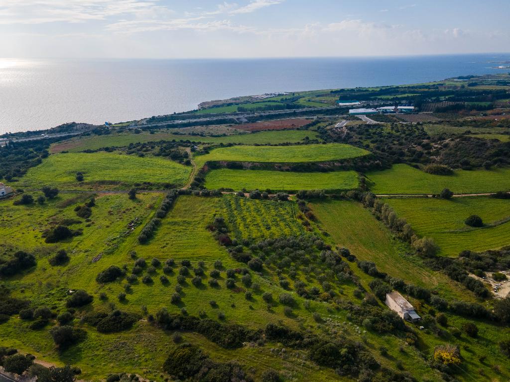 Field (Share) - Kouklia, Paphos