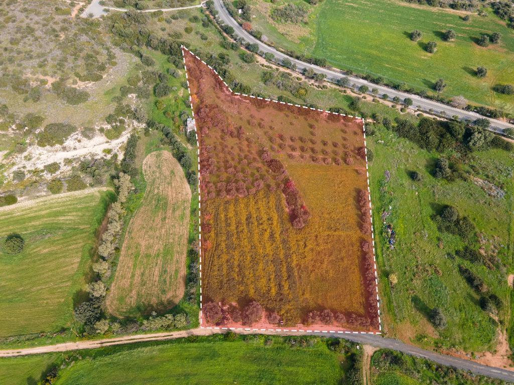 Field (Share) - Kouklia, Paphos