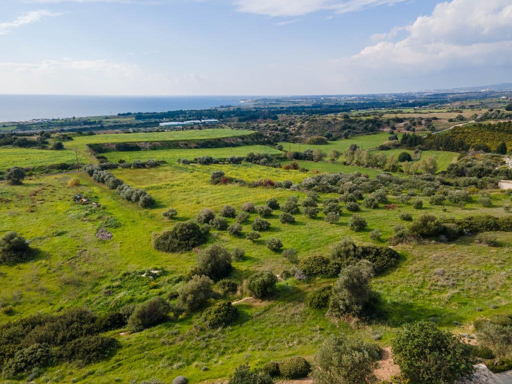 Field (Share) - Kouklia, Paphos