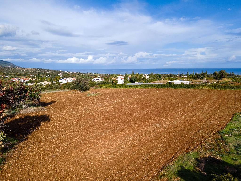 Field-New Chorio-PR39437