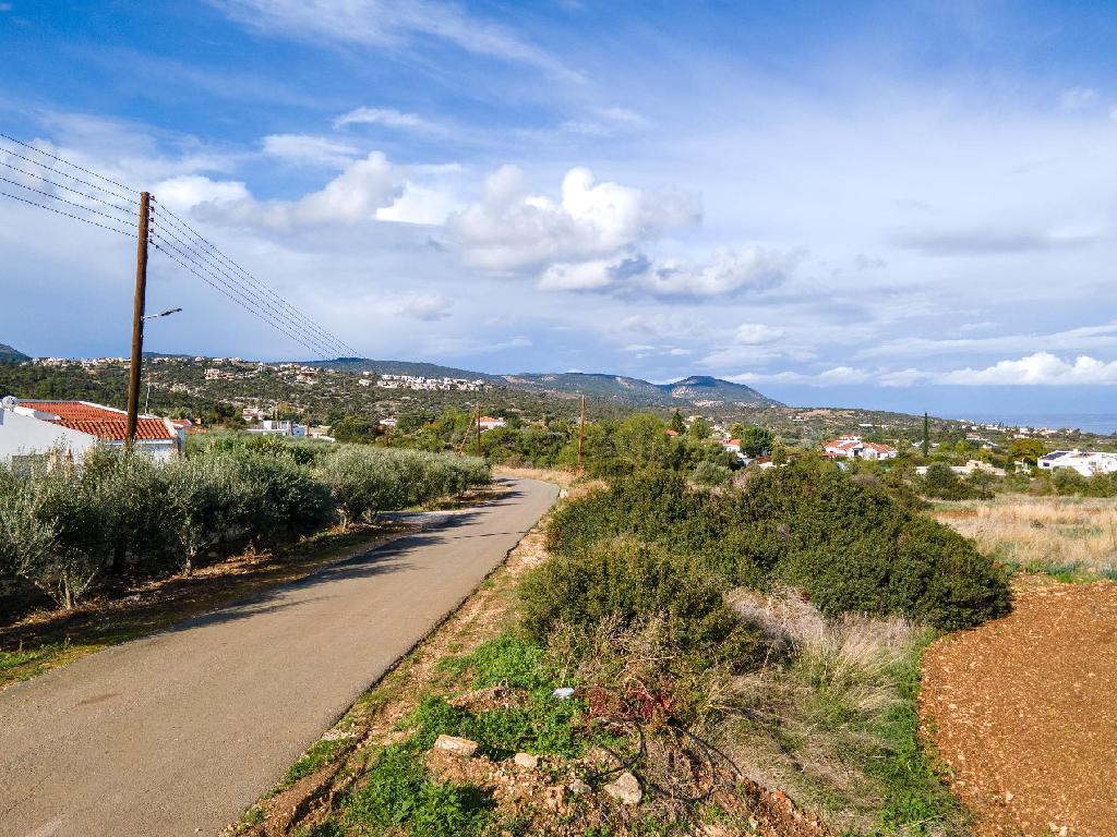 Field (Share) - Neo Chorio, Paphos