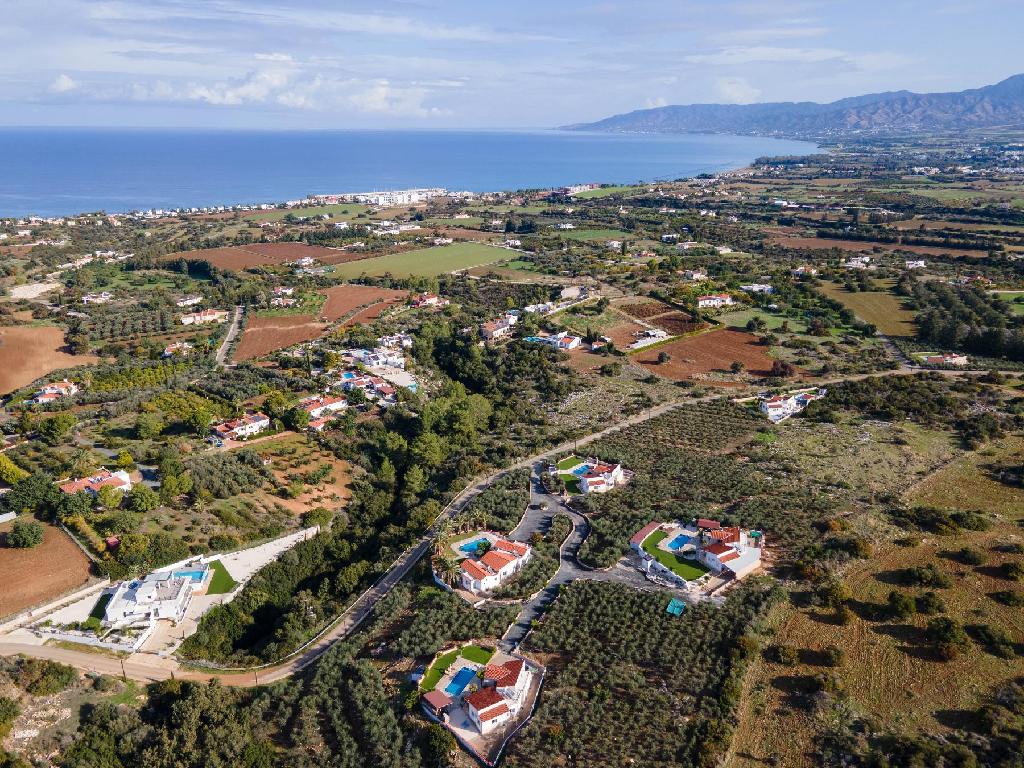 Field (Share) - Neo Chorio, Paphos