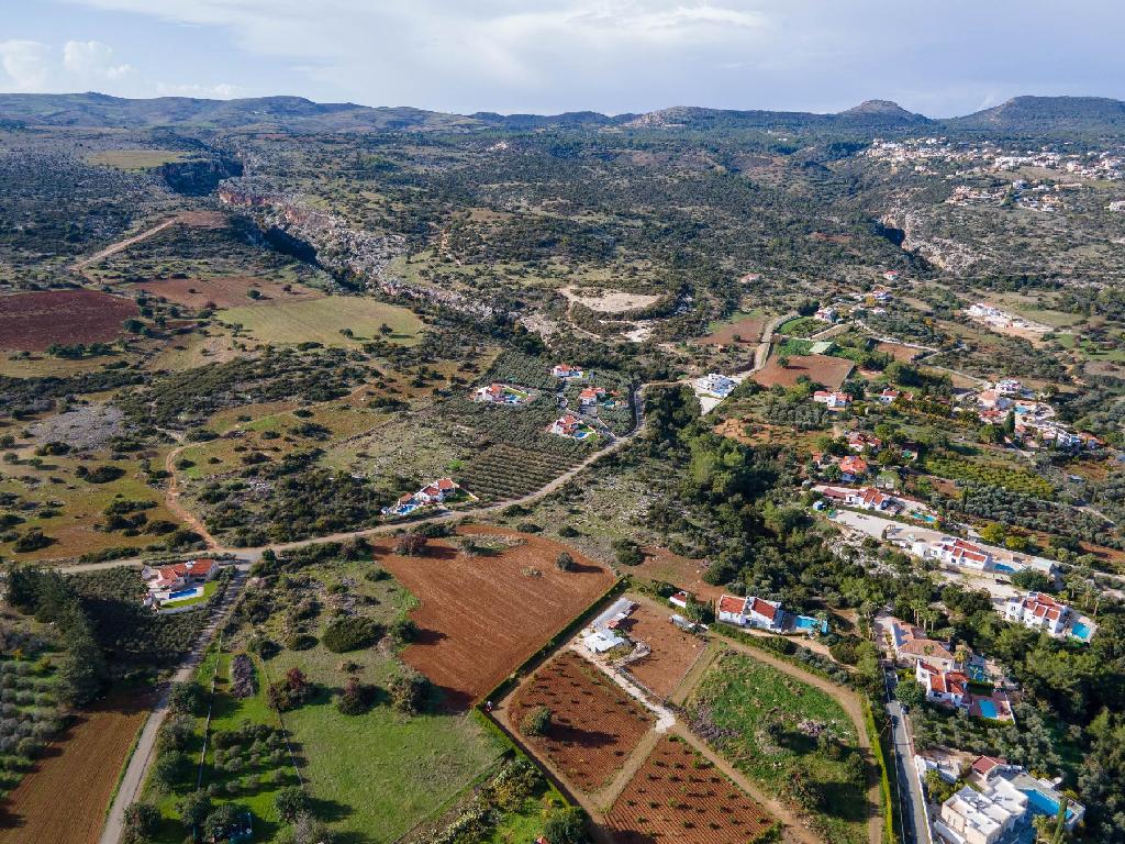 Field (Share) - Neo Chorio, Paphos