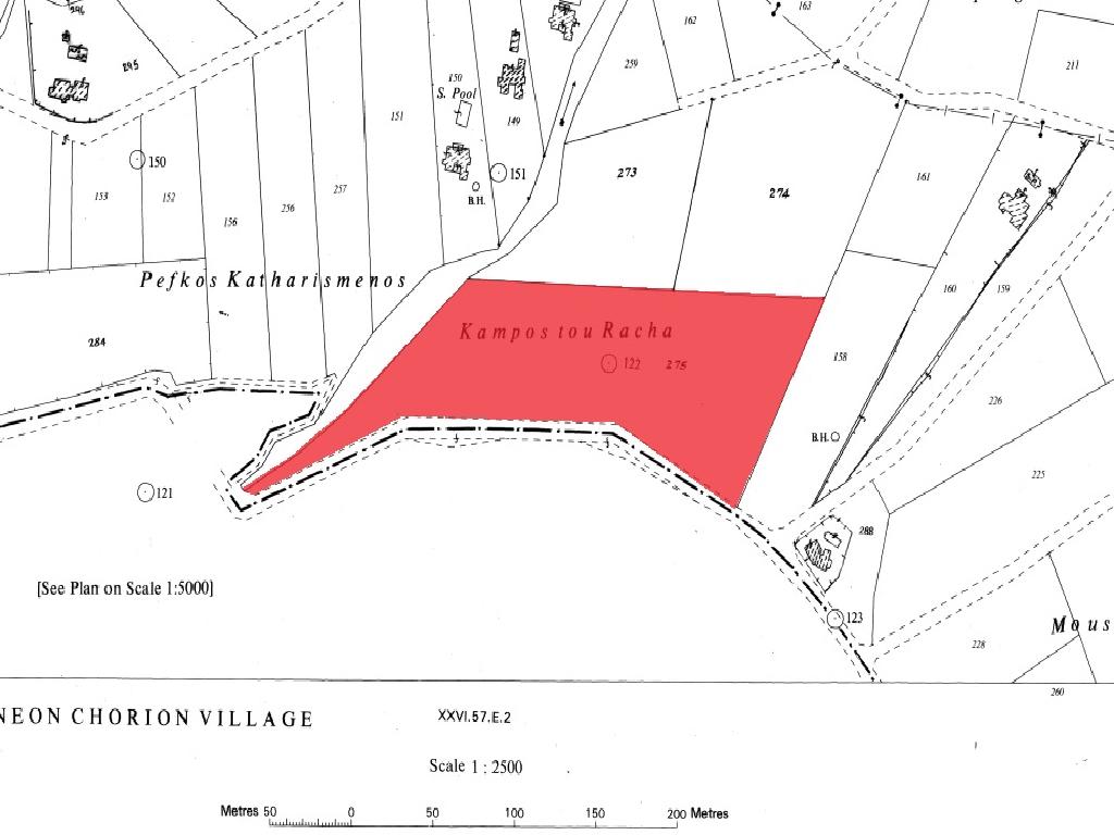 Field-New Chorio-PR39437