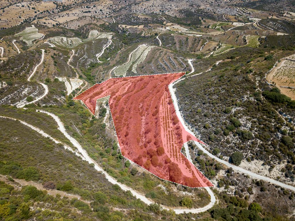 Χωράφι - Πάχνα, Λεμεσός