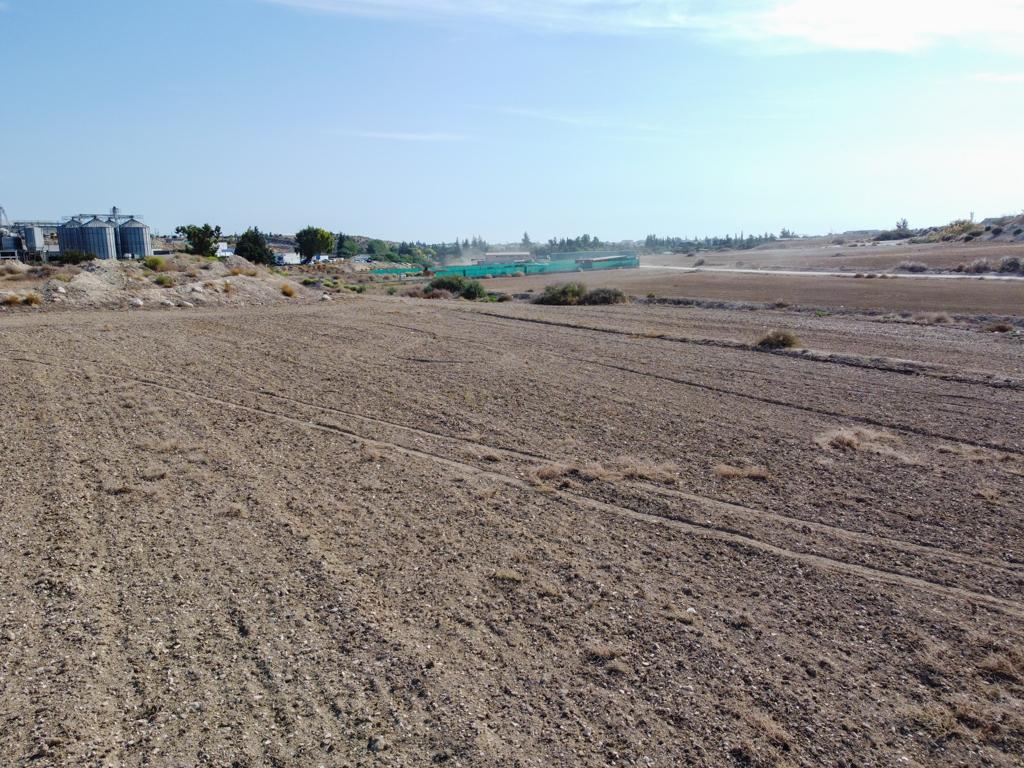 Field - Aradippou, Larnaca