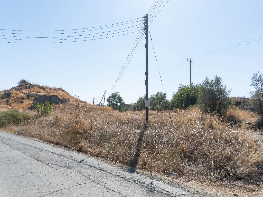 Field - Lythrodonta, Nicosia