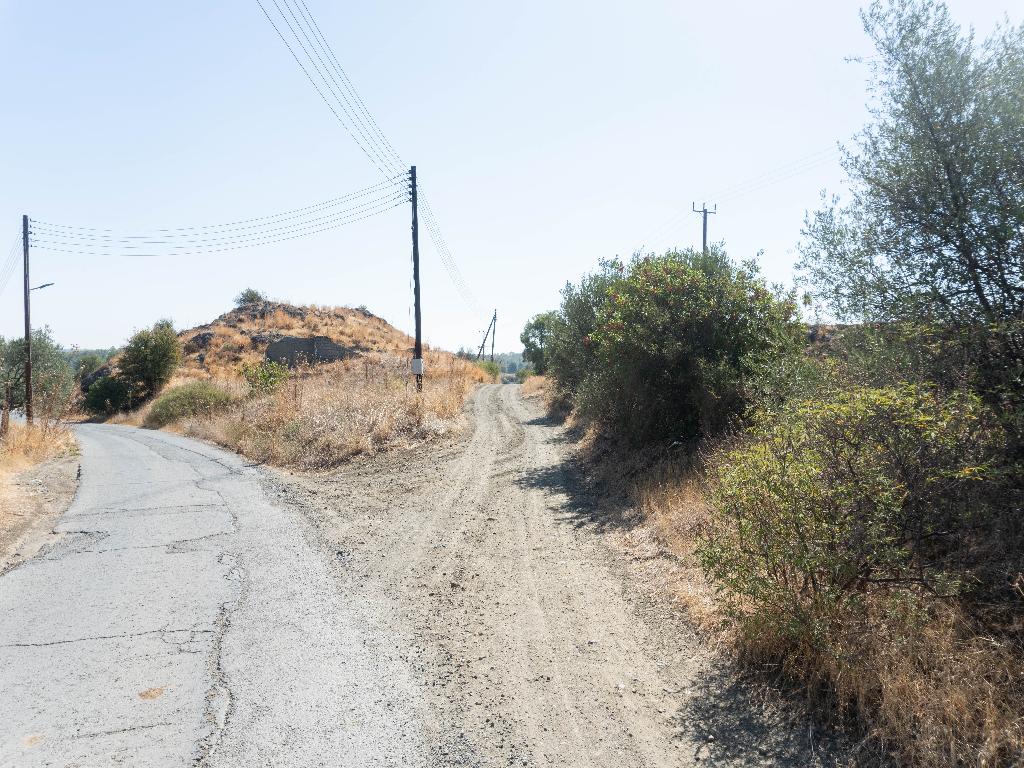 Field - Lythrodonta, Nicosia