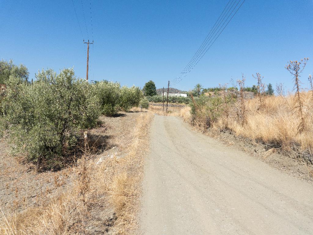 Field - Lythrodonta, Nicosia