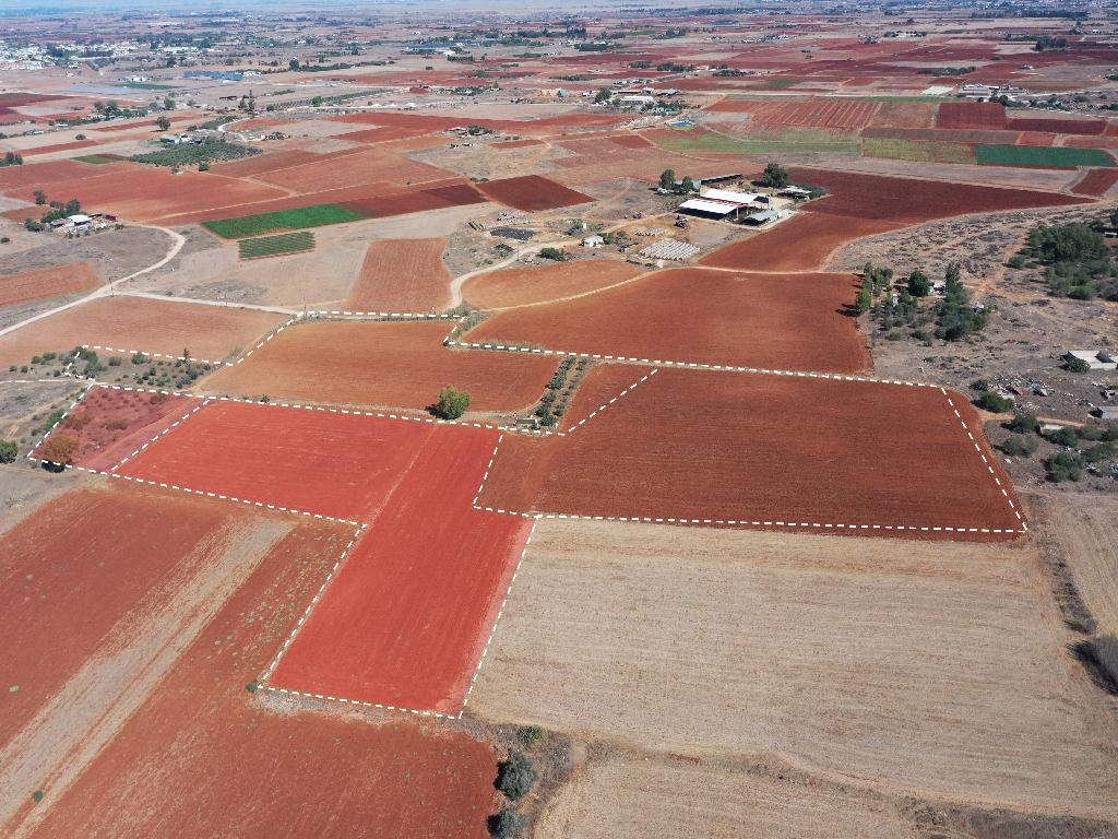 Field  (Share) - Avgorou, Famagusta