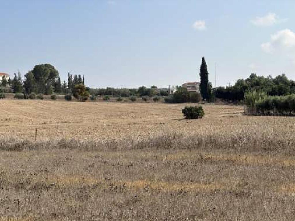 Field - Acheritou, Famagusta