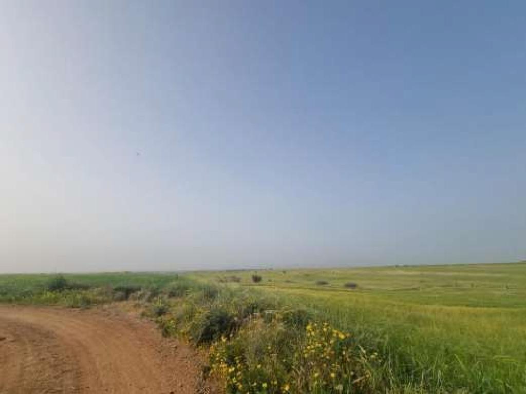 Field - Peristerona, Nicosia