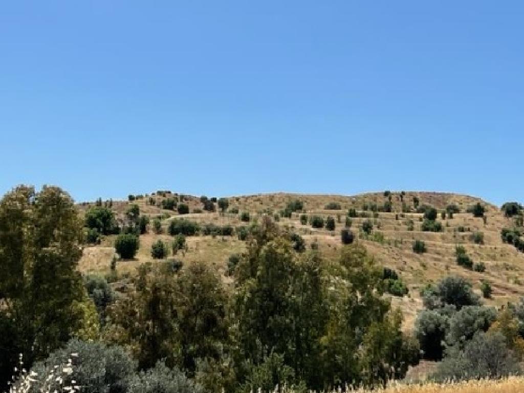 Field - Analiontas, Nicosia