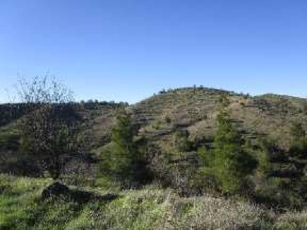 Field (Share) - Ayios Epifanios, Nicosia