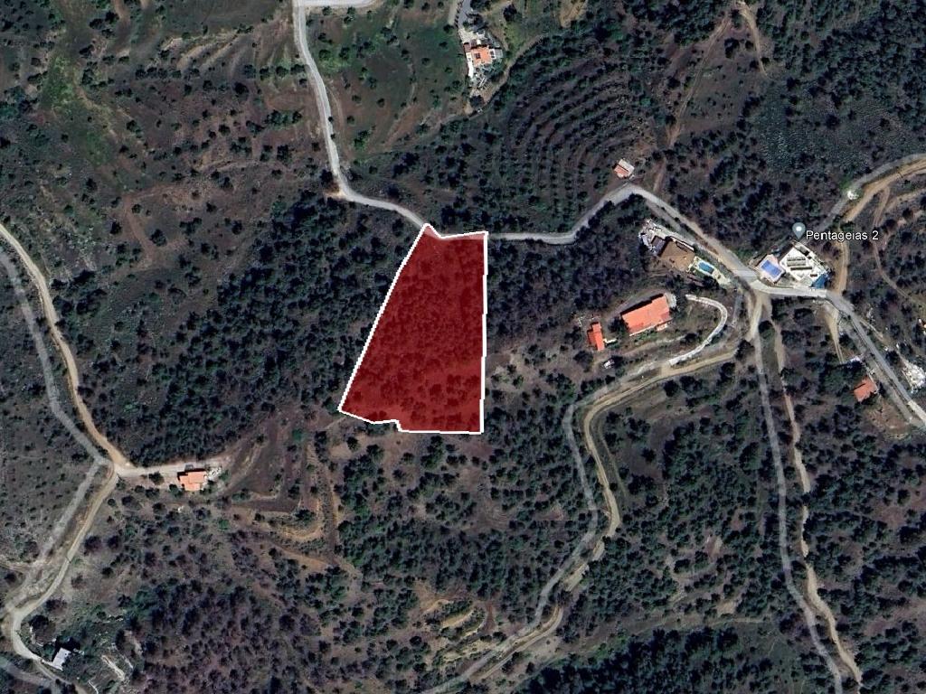 Field-Agios Epifanios (Oreinis)-PR40460