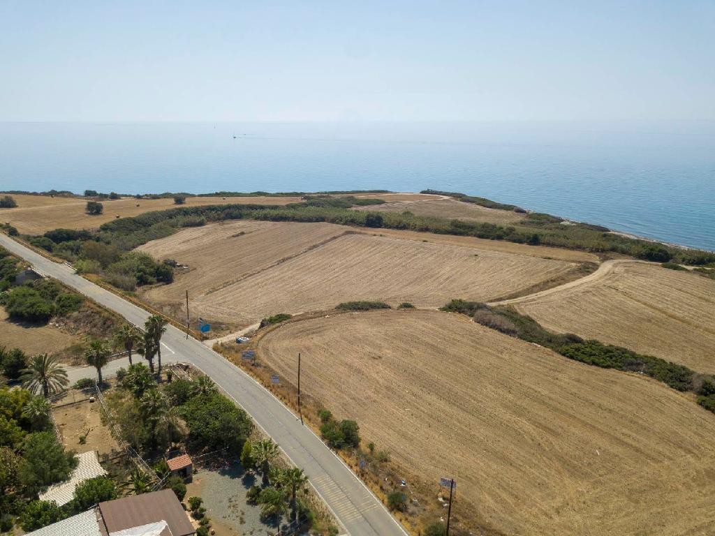 Field (Share) - Maroni, Larnaca